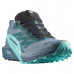 Кроссовки для бега Salomon Sense Ride 5 Goretex Trail, синий