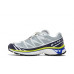 Кроссовки XT-6 Advanced Salomon, серый