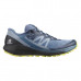 Кроссовки для бега Salomon Sense Ride 4 Trail, синий