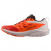 Кроссовки для бега Salomon Sense Ride 5 Trail, оранжевый