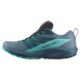 Кроссовки для бега Salomon Sense Ride 5 Goretex Trail, синий