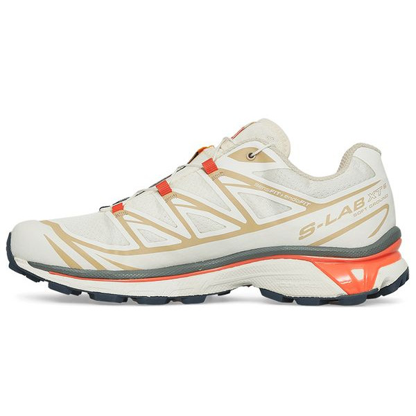 Мужские кроссовки Salomon XT-6